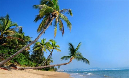 日本料理加盟投资开店哪家品牌还能做