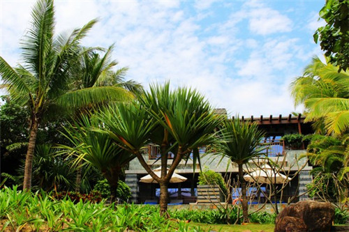 玩火影放什么歌好看（火影热门必备音乐是什么歌）