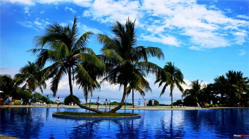 新疆人才考试（新疆事业单位考试中心官网）