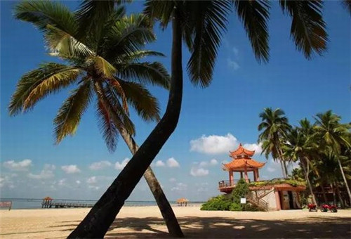 煚字起名字是什么意思（晫字起名的意思是什么）