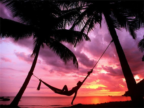 昭觉县加盟鱼火锅哪些项目比较适合新手，在昭觉县加盟重庆369美蛙鱼头火锅有什么优势