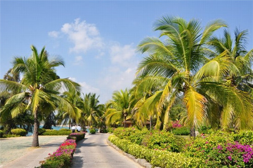 如何经营一家奶茶加盟店，米斯塔奶茶加盟开店会亏吗