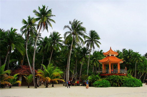 在自贡市适合80后的汽车美容项目有哪些，在自贡市加盟车骑王子什么位置生意好