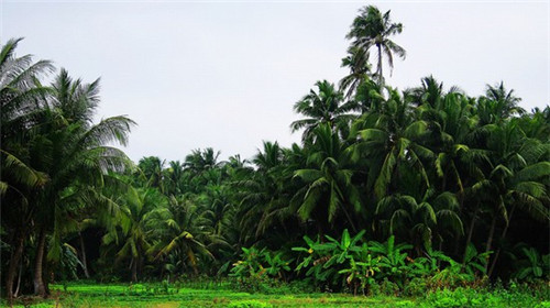 昕昕火锅食材加盟在平遥县开店复杂吗，在平遥县加盟特色火锅店哪些品牌回本快