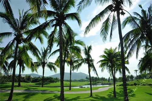 亨德森谈手球争议（亨德森防守）